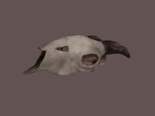 Goat Skull preview image